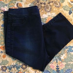 Avenue Lapis Stretch Style Brushed Denim Pants